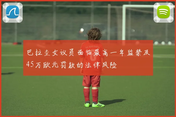 巴拉圭女议员面临最高一年监禁及45万欧元罚款的法律风险